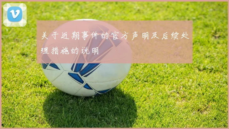 关于近期事件的官方声明及后续处理措施的说明